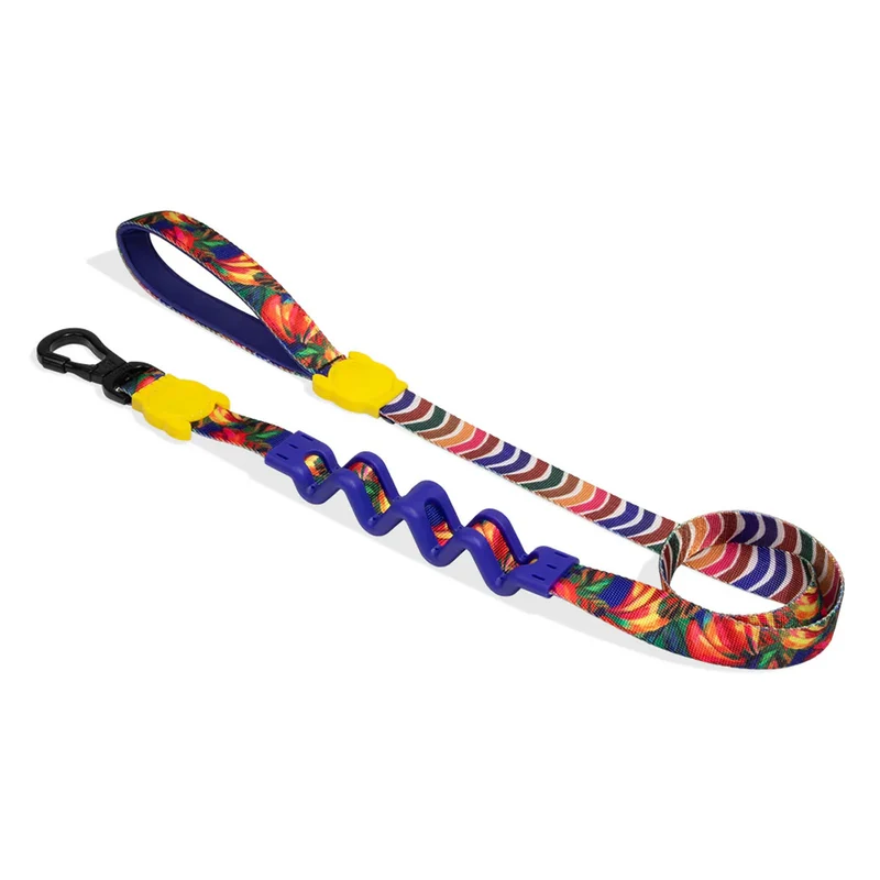 Hundeleine Ruffleash, Samba