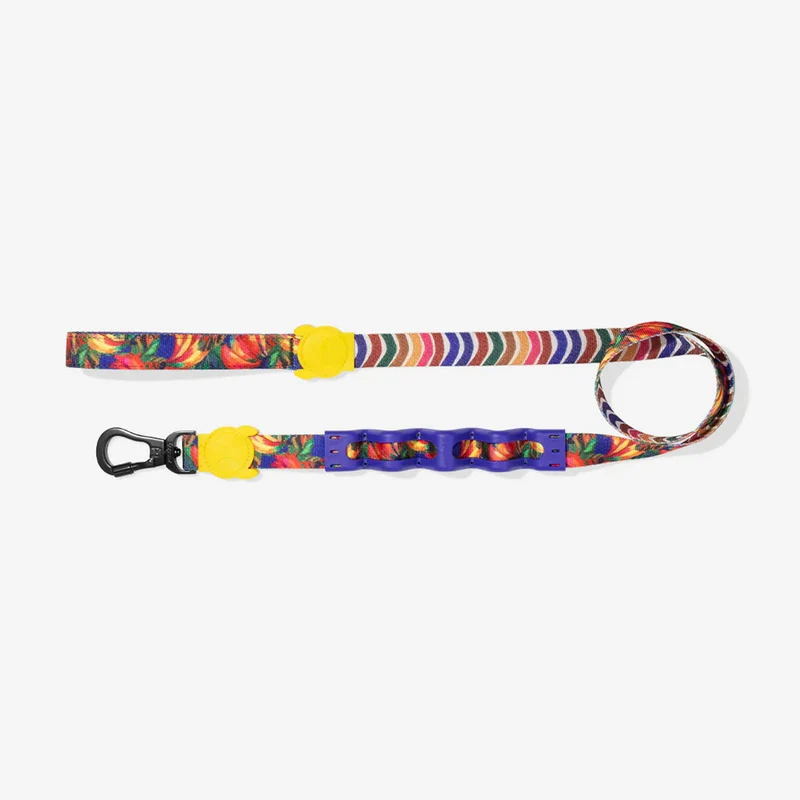 Hundeleine Ruffleash, Samba