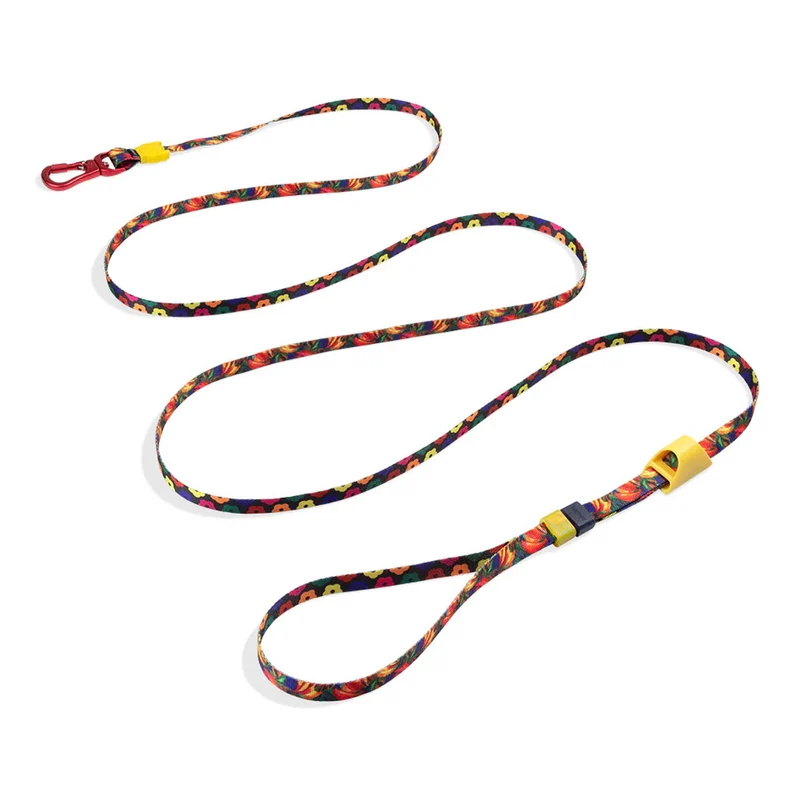 Hundeleine Long Leash, Samba