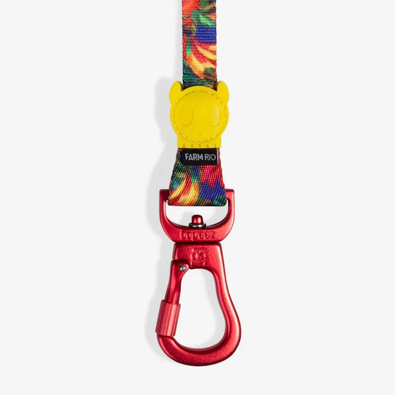 Hundeleine Long Leash, Samba