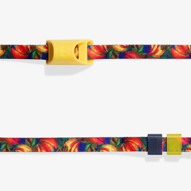 Hundeleine Long Leash, Samba