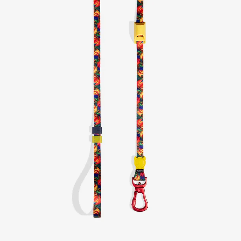 Hundeleine Long Leash, Samba