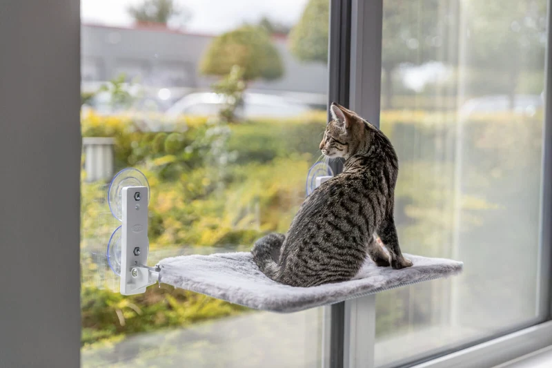 Fenster-Liegeplatz für Katzen mit Saugnäpfen und Wendebezug