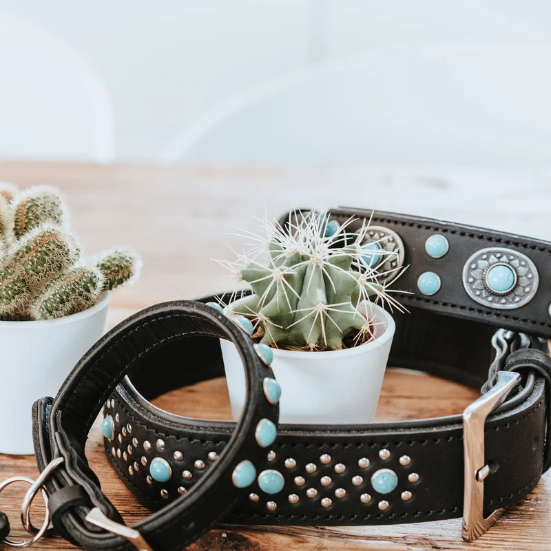 Halsband Sioux