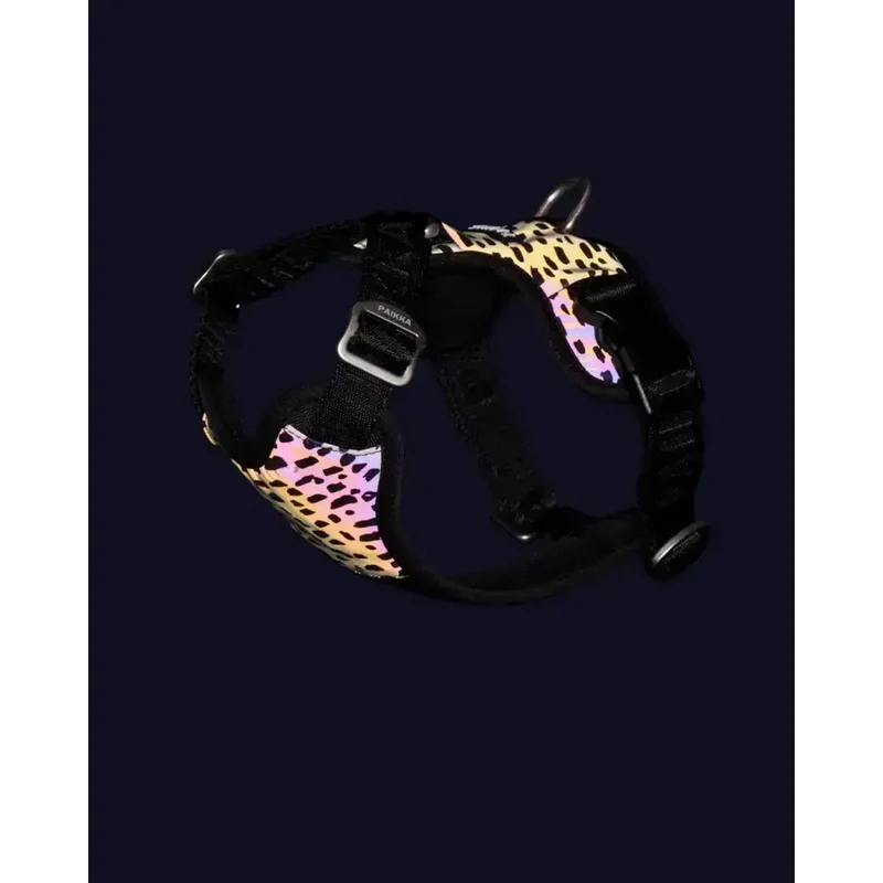 Hundegeschirr | Harness 2.0