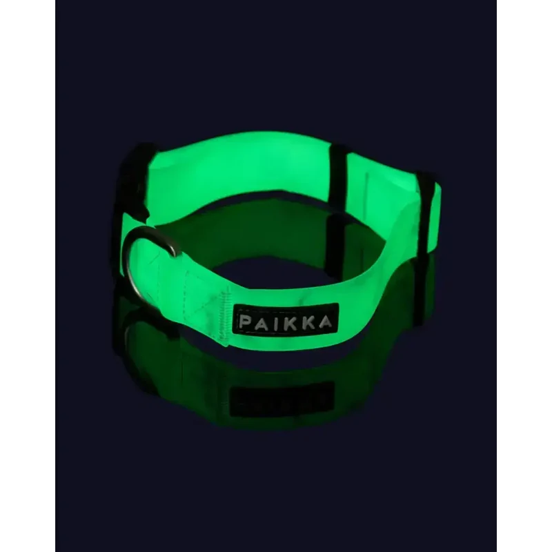 Hundehalsband | Glow Collar Marble Green