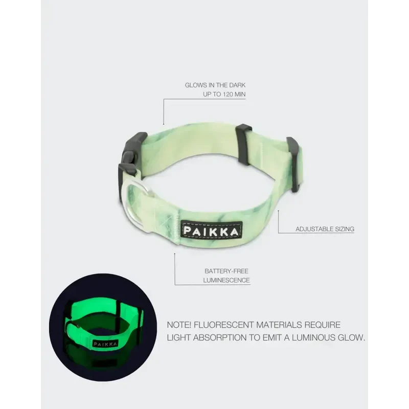 Hundehalsband | Glow Collar Marble Green