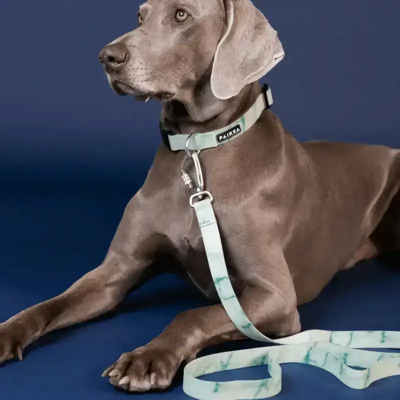 Hundeleine | Glow Leash Marble Green