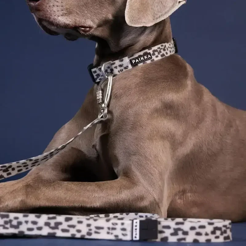 Hundeleine | Glow Leash 2.0