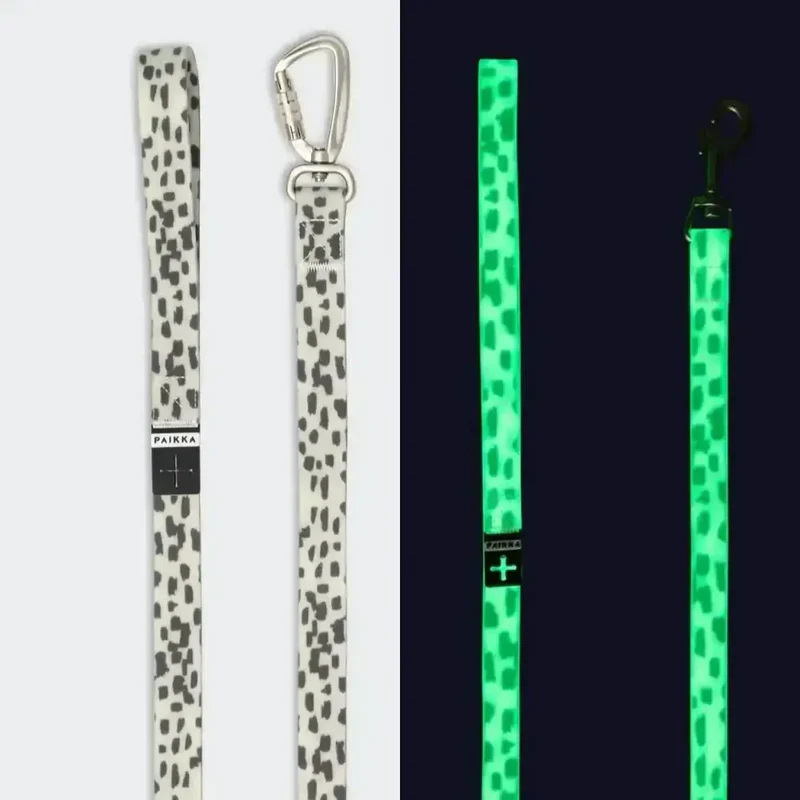 Hundeleine | Glow Leash 2.0