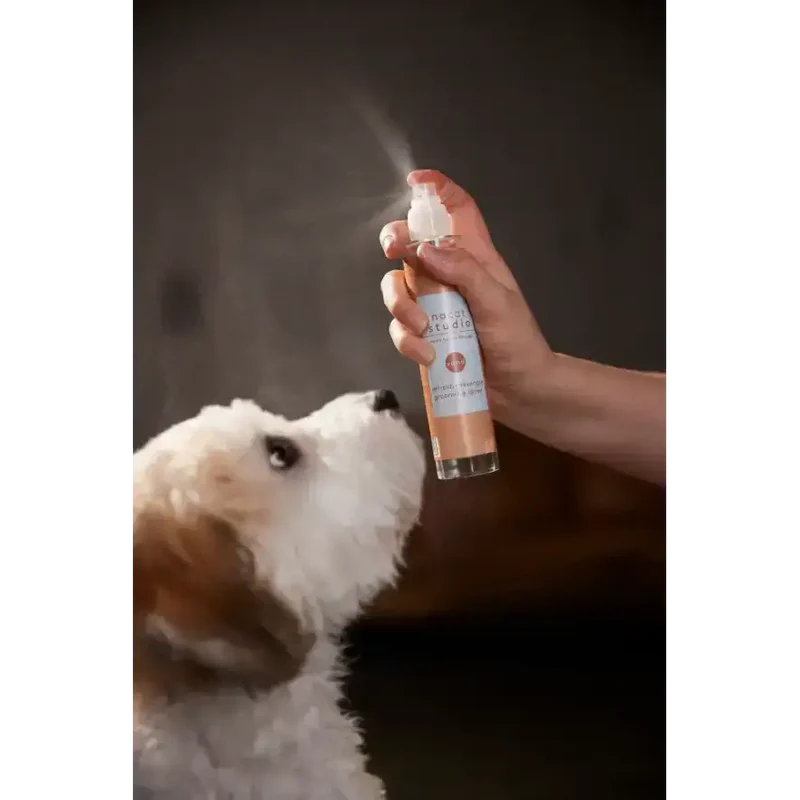 Pflegespray für Hunde | Nocat Studio
