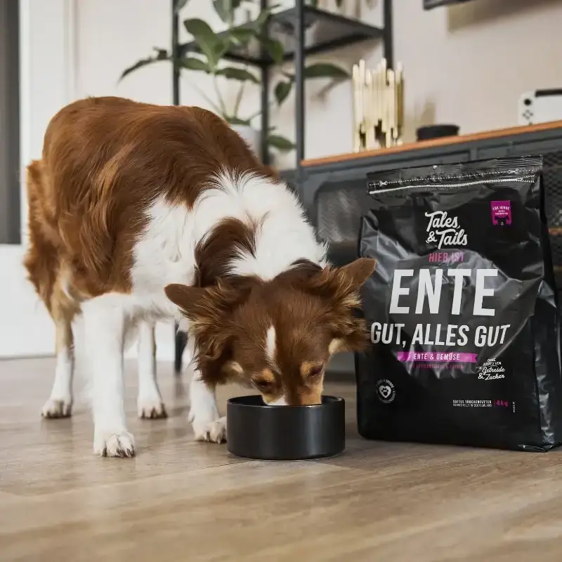 Trockenfutter Hund | Ente gut, alles gut