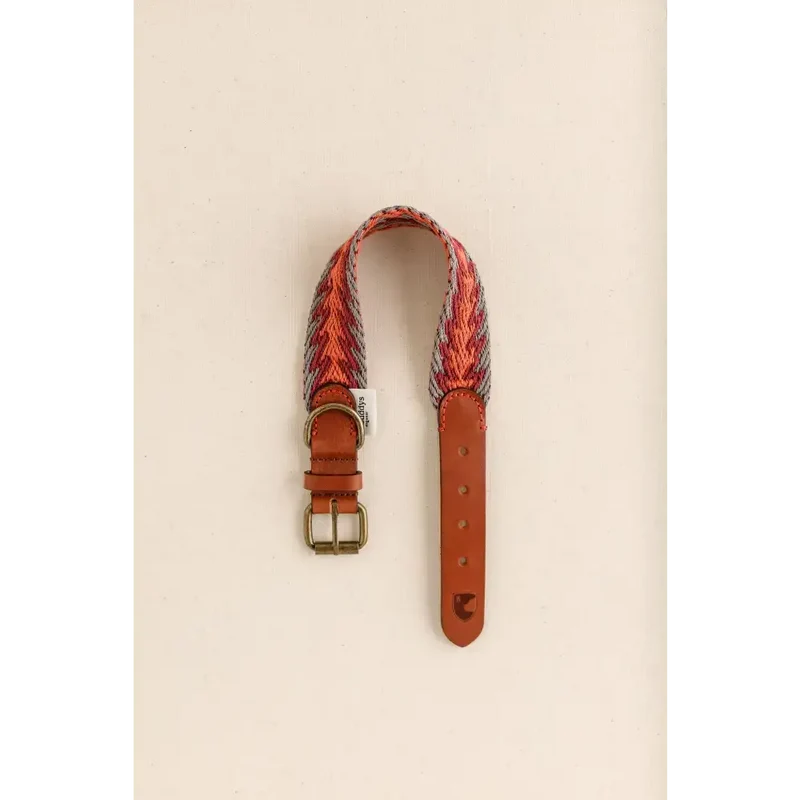 Hundehalsband | Peruvian Arrow Orange