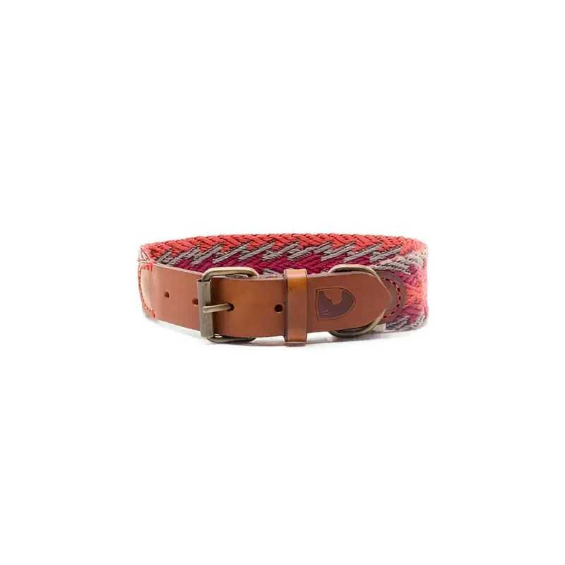 Hundehalsband | Peruvian Arrow Orange