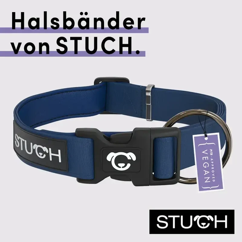 Hundehalsband | Dunkelblau
