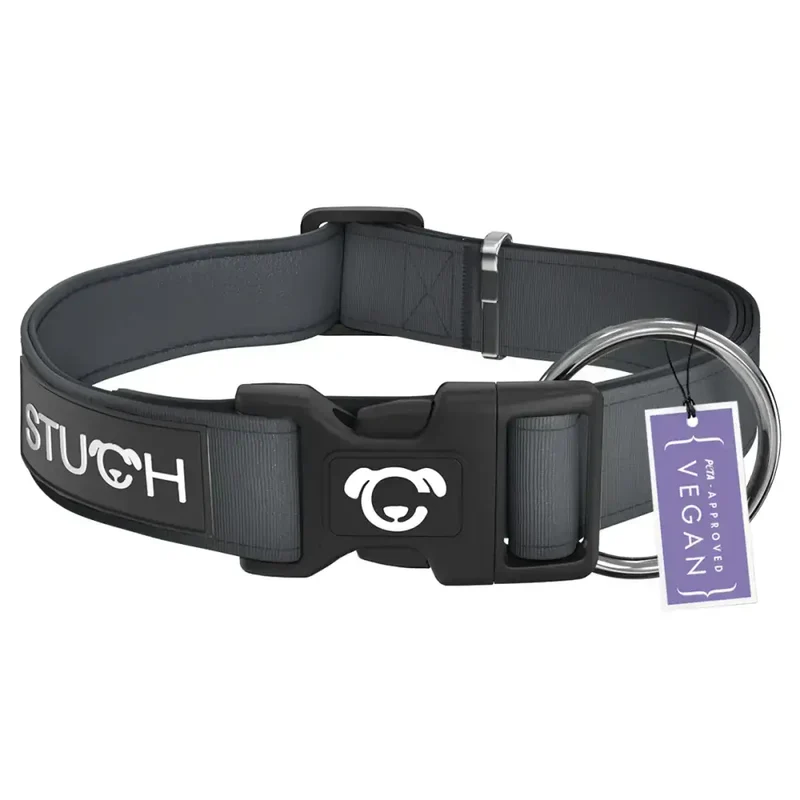 Hundehalsband | Grau