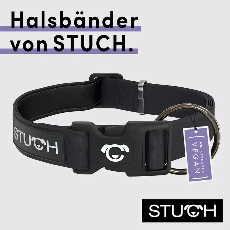 Hundehalsband | Schwarz