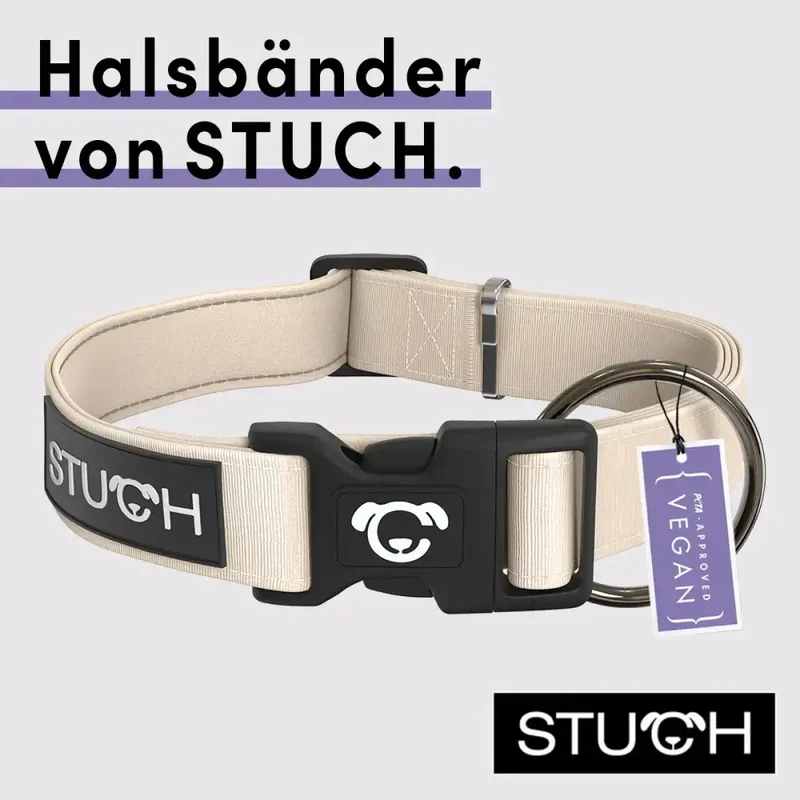 Hundehalsband | Beige