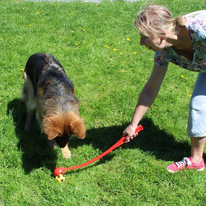 Nobby Ballwerfer - 63 cm lang - Ballschleuder mit Tennisball - gelb - Launcher
