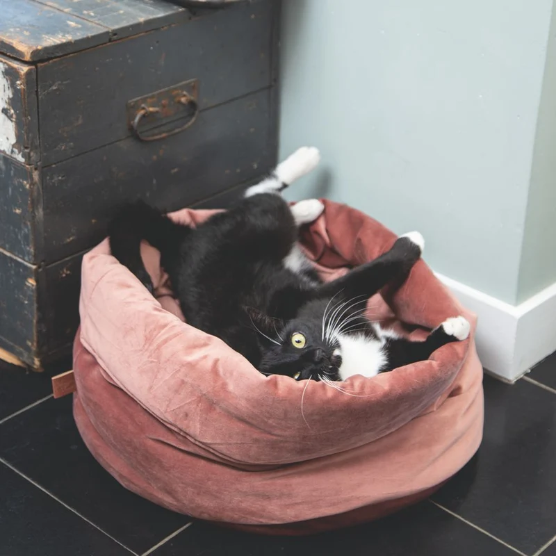 Designed by Lotte Katzenbett FLUCO - 45 cm - rund - Katzenkorb Kuschelbett