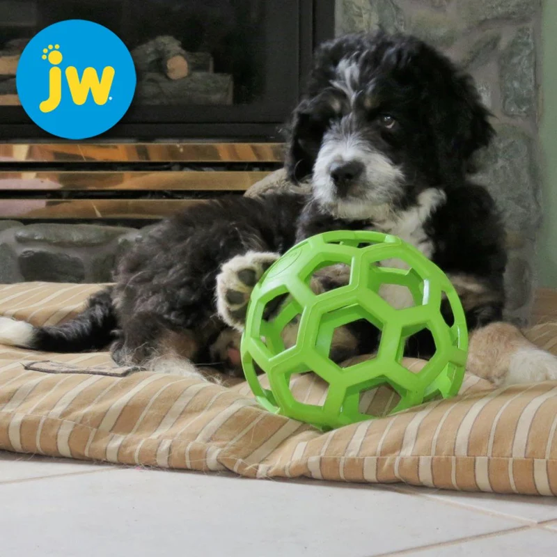 JW Hol-ee Roller Ball - Gitterball - Hundespiel Kauspielzeug Snackball Gummiball