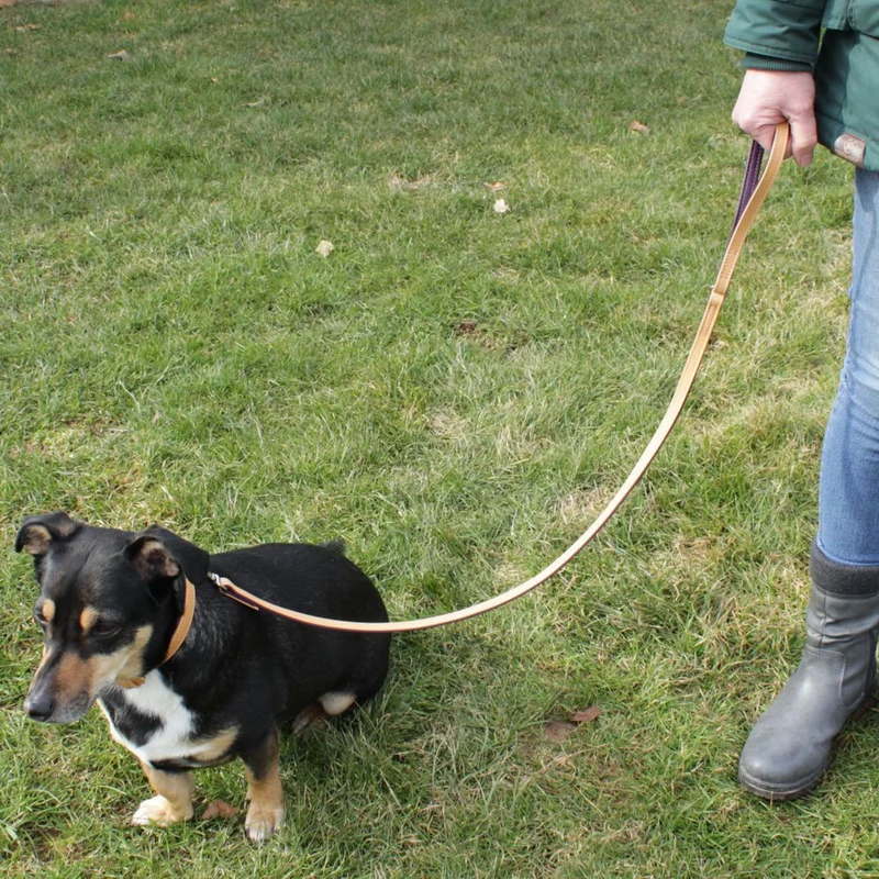Karlie Leder-Leine LIWA - 100 cm lang - Kamelleder & Nappaleder Hundeleine - 1 m