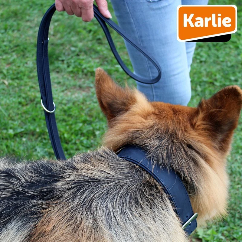 Karlie Leder-Führleine BUFFALO - 200 cm lang - Kalbsleder Hundeleine 2 m