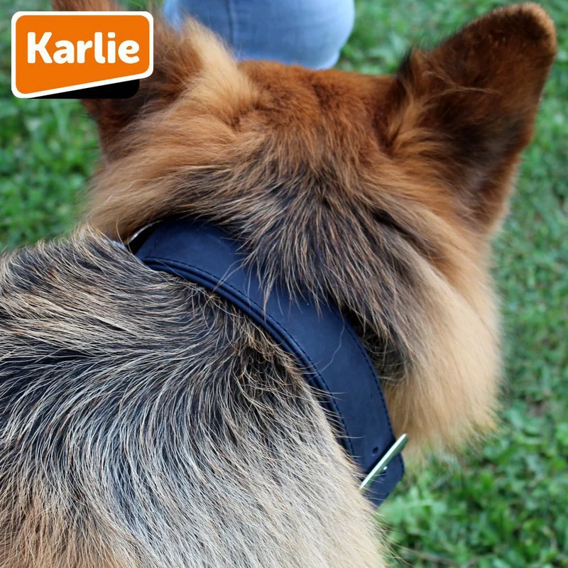 Karlie Leder-Halsband BUFFALO - Länge 40-60 cm - Kalbsleder Hundehalsband