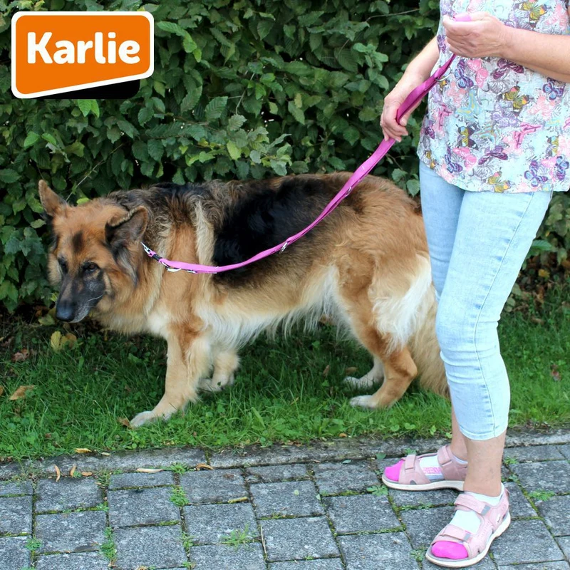 Karlie Führleine ART SPORTIV PLUS - pink - 250 cm - 25 mm - Nylon Hundeleine