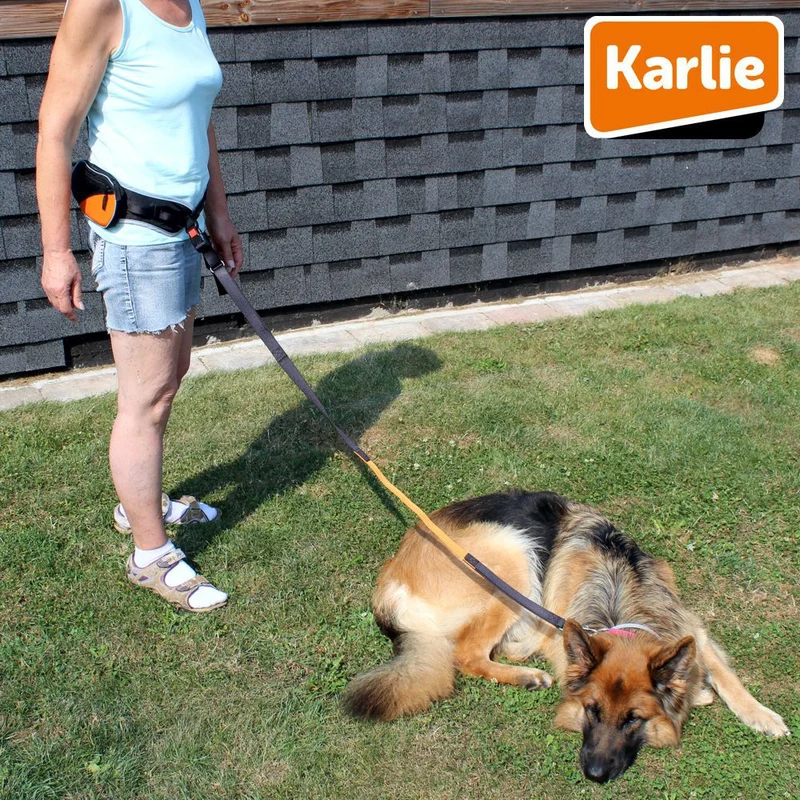 Karlie CaniCross Easy Joggingleine mit Tasche Walkingleine Sportleine elastisch