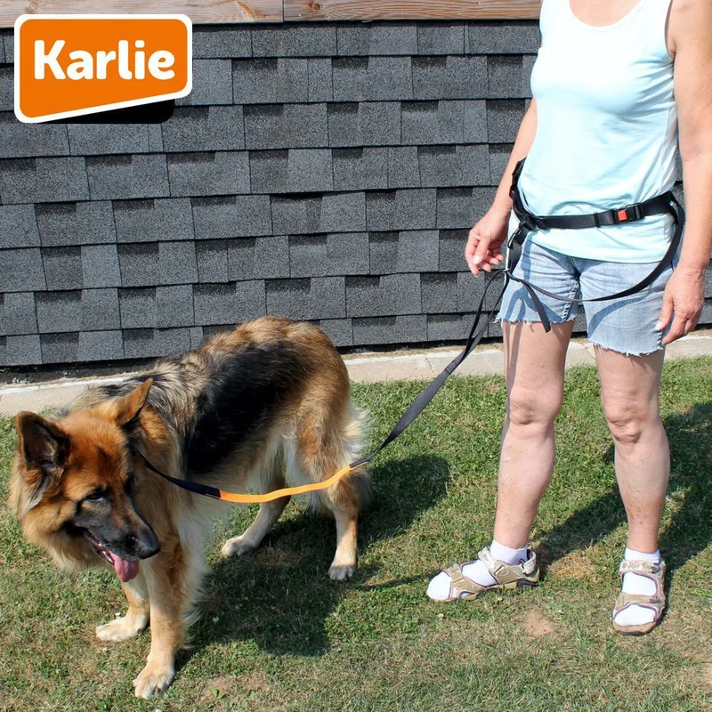 Karlie CaniCross Easy Joggingleine mit Tasche Walkingleine Sportleine elastisch