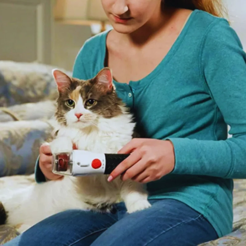 Elektrische Krallenschleifmaschine für Hunde und Katzen Mit Sicherheitskappe und Leisem Motor