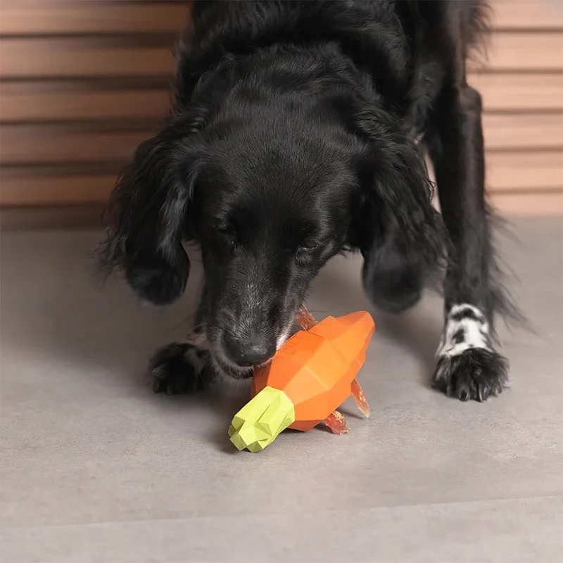 Hundespielzeug Super Veggiez, Carrot