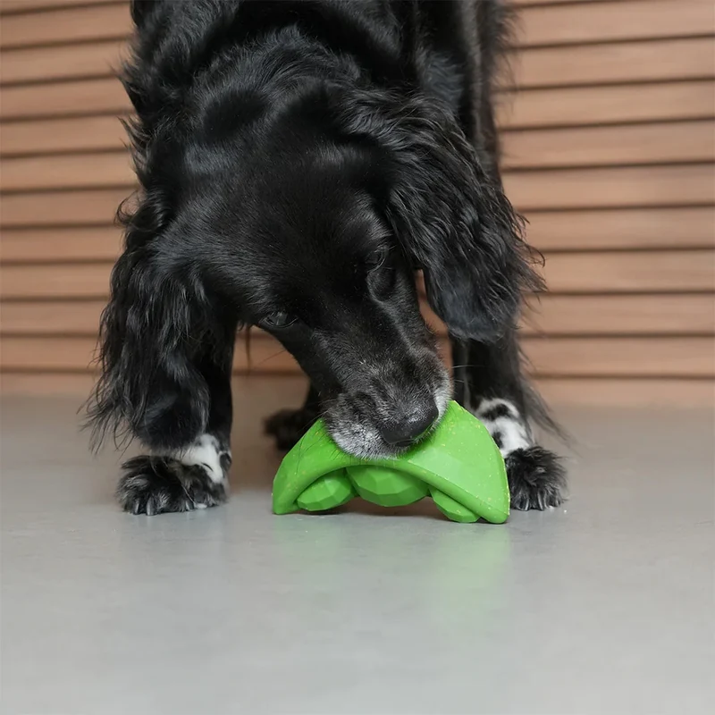 Hundespielzeug Super Veggiez, Green Bean