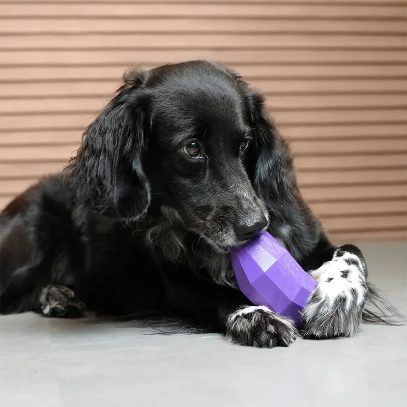 Hundespielzeug Super Veggiez, Eggplant