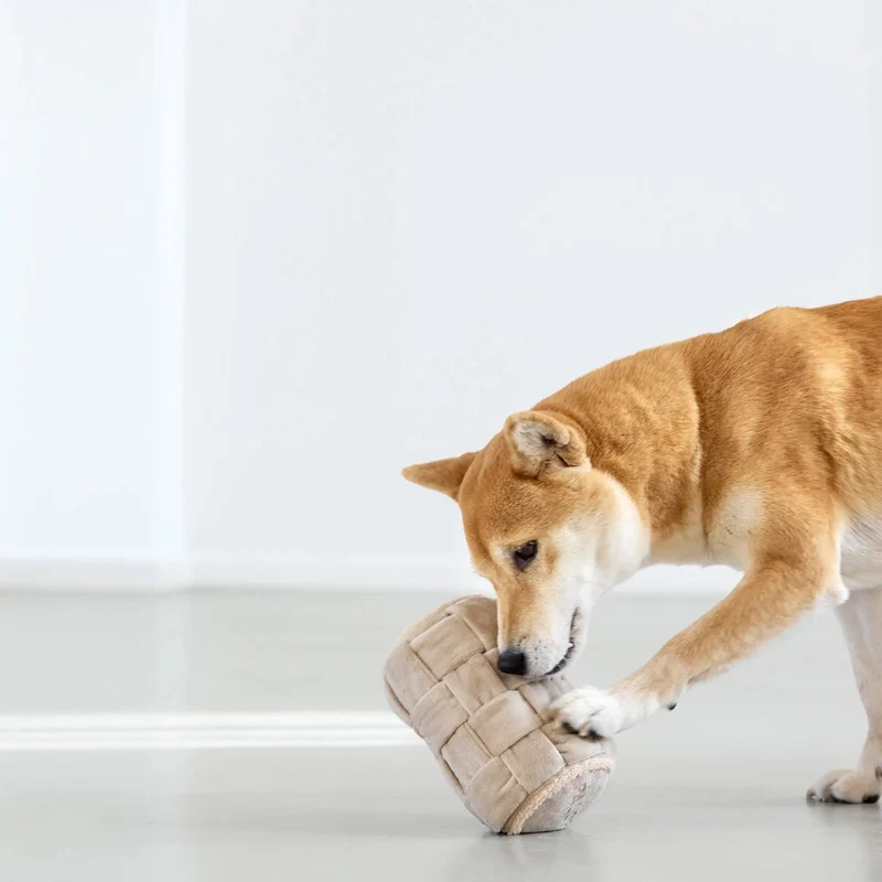 Hundespielzeug Kalpi, Beige