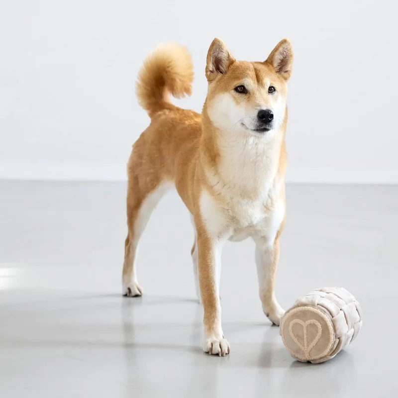 Hundespielzeug Kalpi, Beige