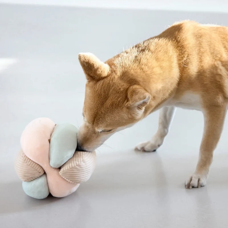 Hundespielzeug Brino, Rosa