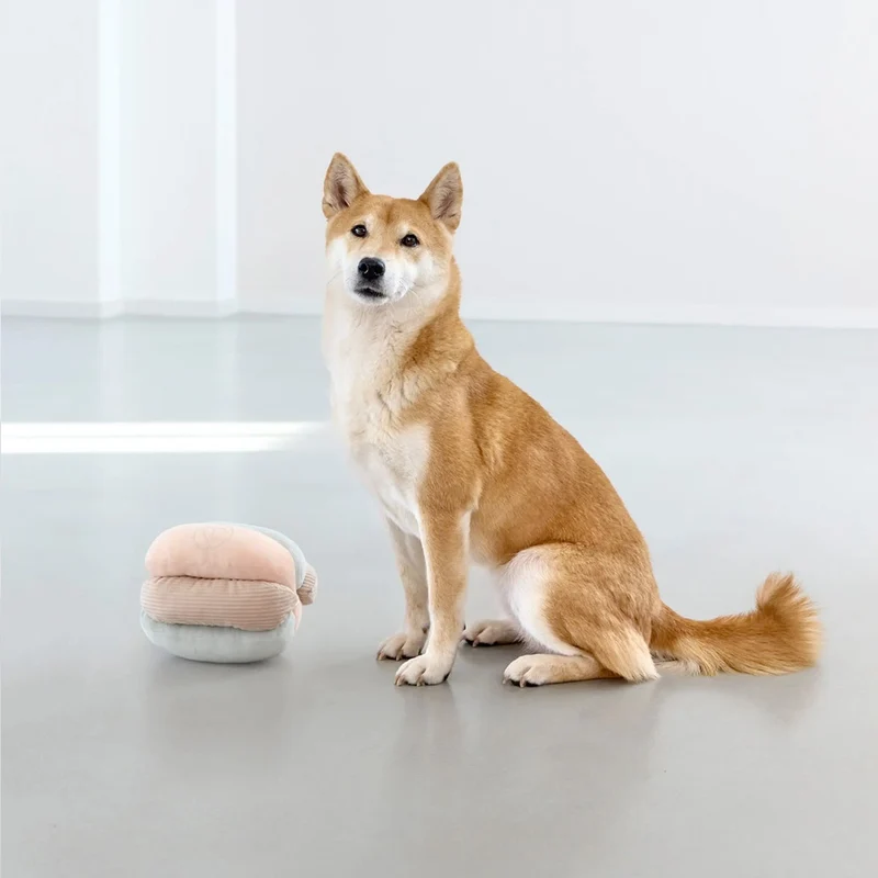 Hundespielzeug Brino, Rosa