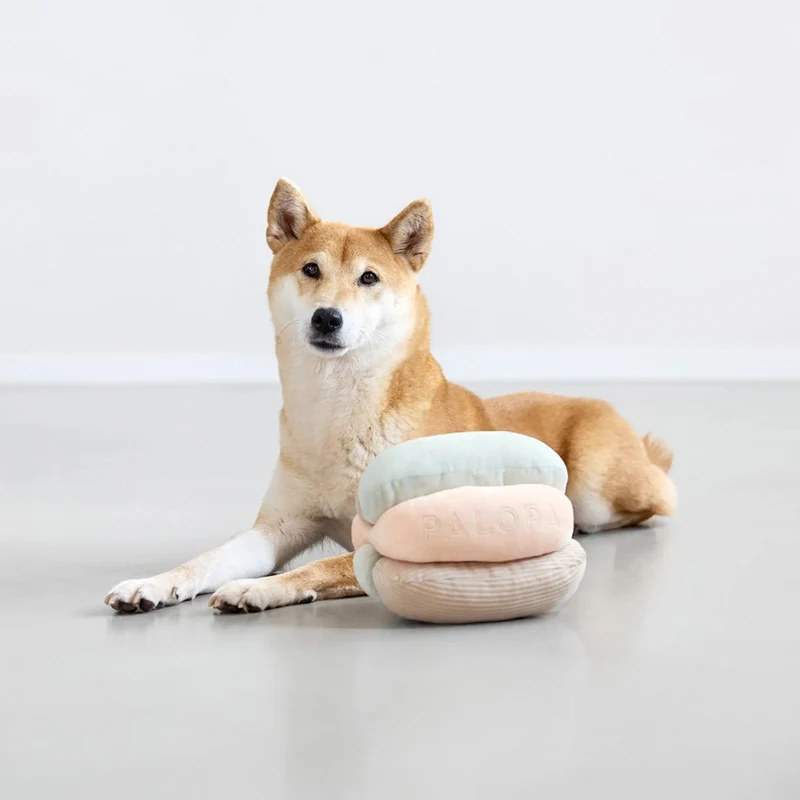 Hundespielzeug Brino, Rosa