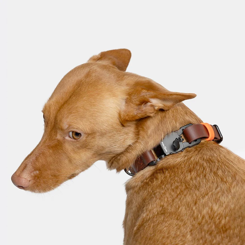 Hundehalsband BioThane Ipanema, Dark Aubergine