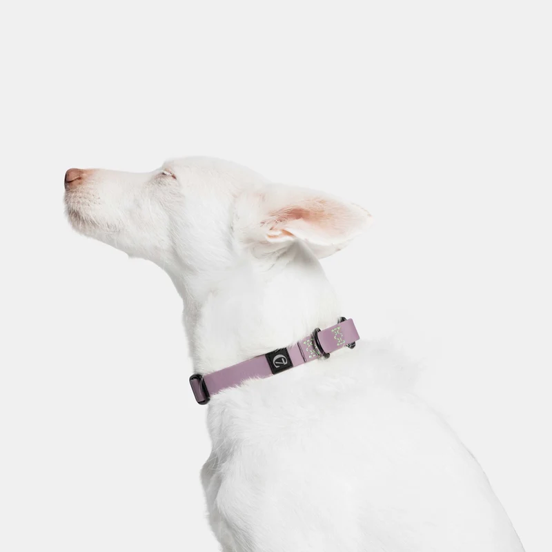 Hundehalsband BioThane Ipanema, Lilac