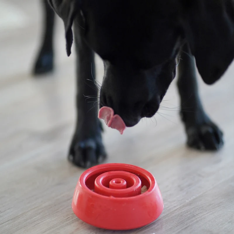 Yoomy Wobble, Red