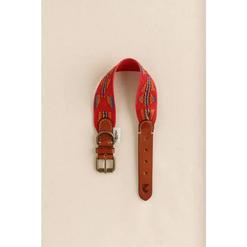 Hundehalsband | Etna Red