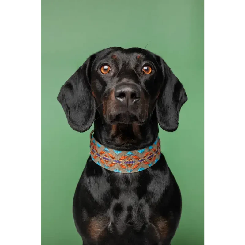 Hundehalsband | Etna Green