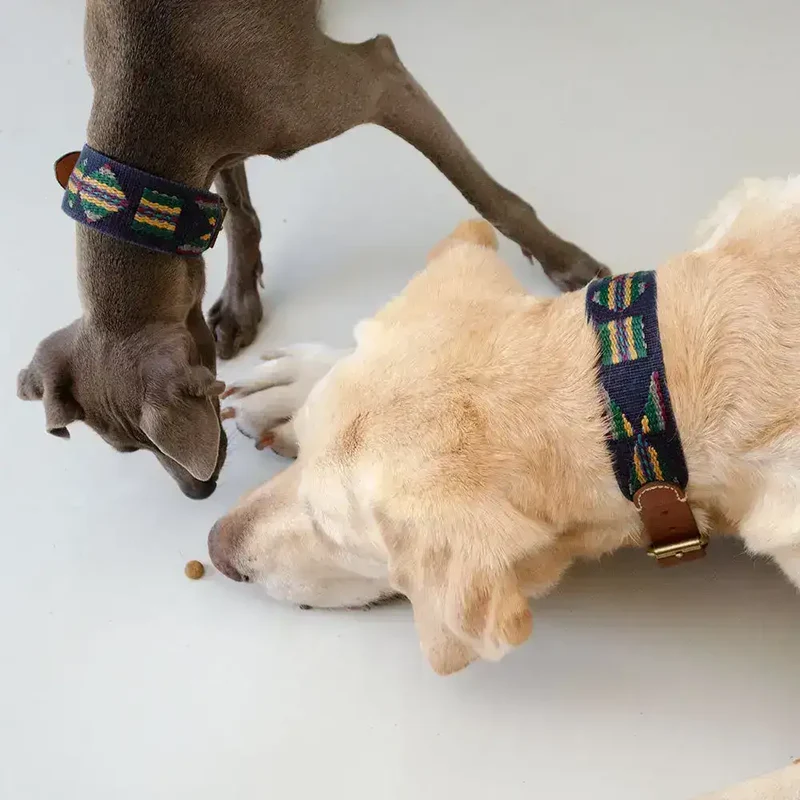 Hundehalsband | Etna Blue