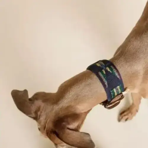 Hundehalsband | Etna Blue