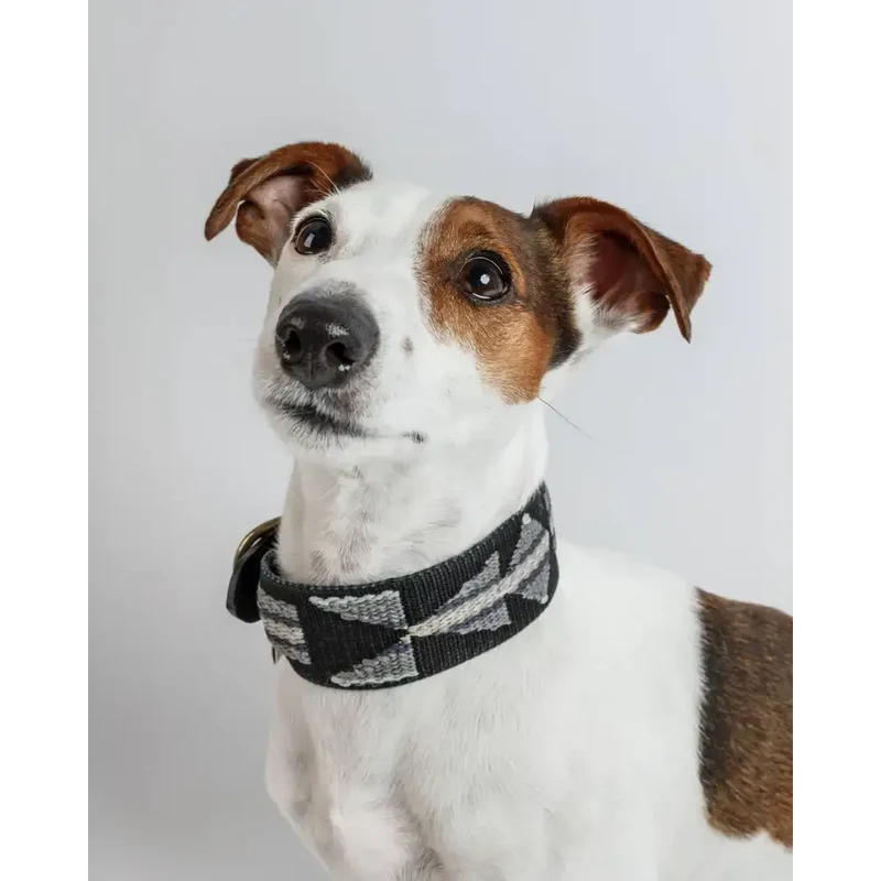 Hundehalsband | Etna Black