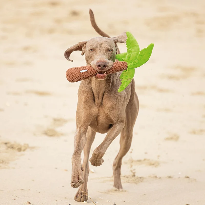 Beeztees Hundespielzeug PALME - knistert - Plüschspielzeug Apportierspielzeug