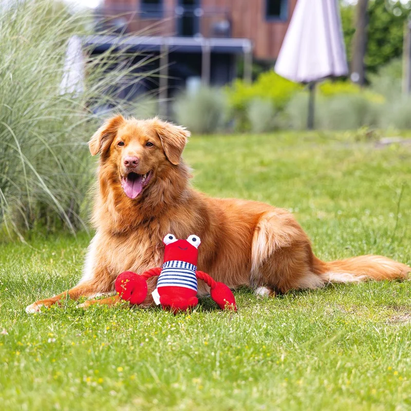 Beeztees Hundespielzeug HUMMER - mit Seil - Plüschspielzeug Apportierspielzeug